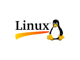server linux